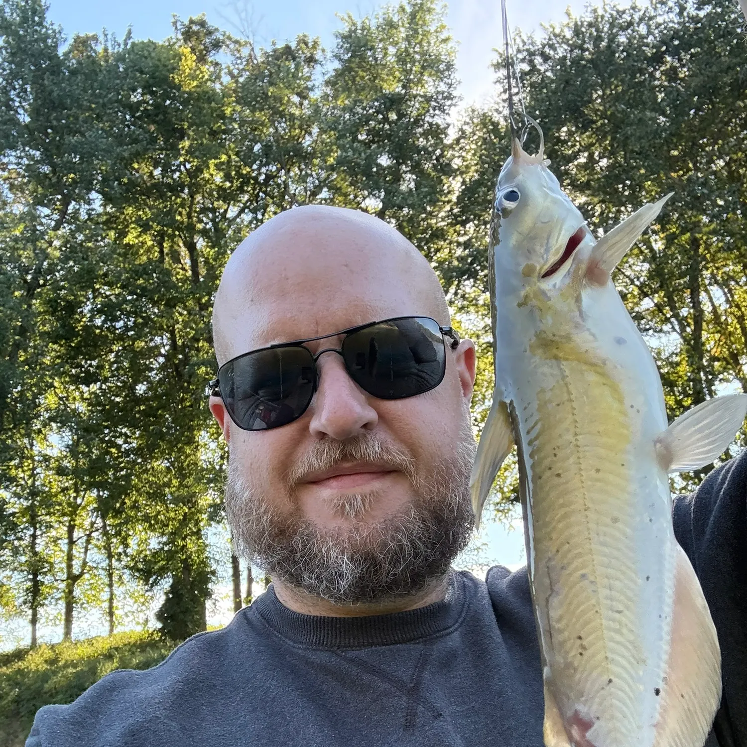 Channel catfish caught on Fishbrain