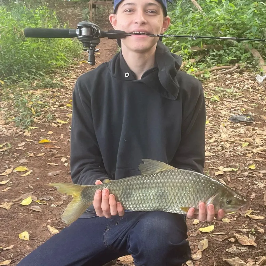 most liked catch image