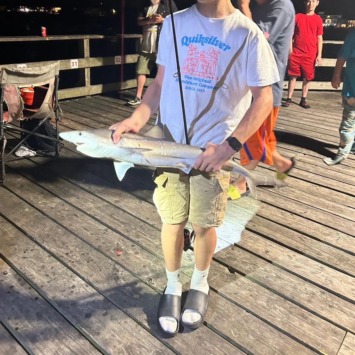 The most recent Atlantic sharpnose shark catches on Fishbrain
