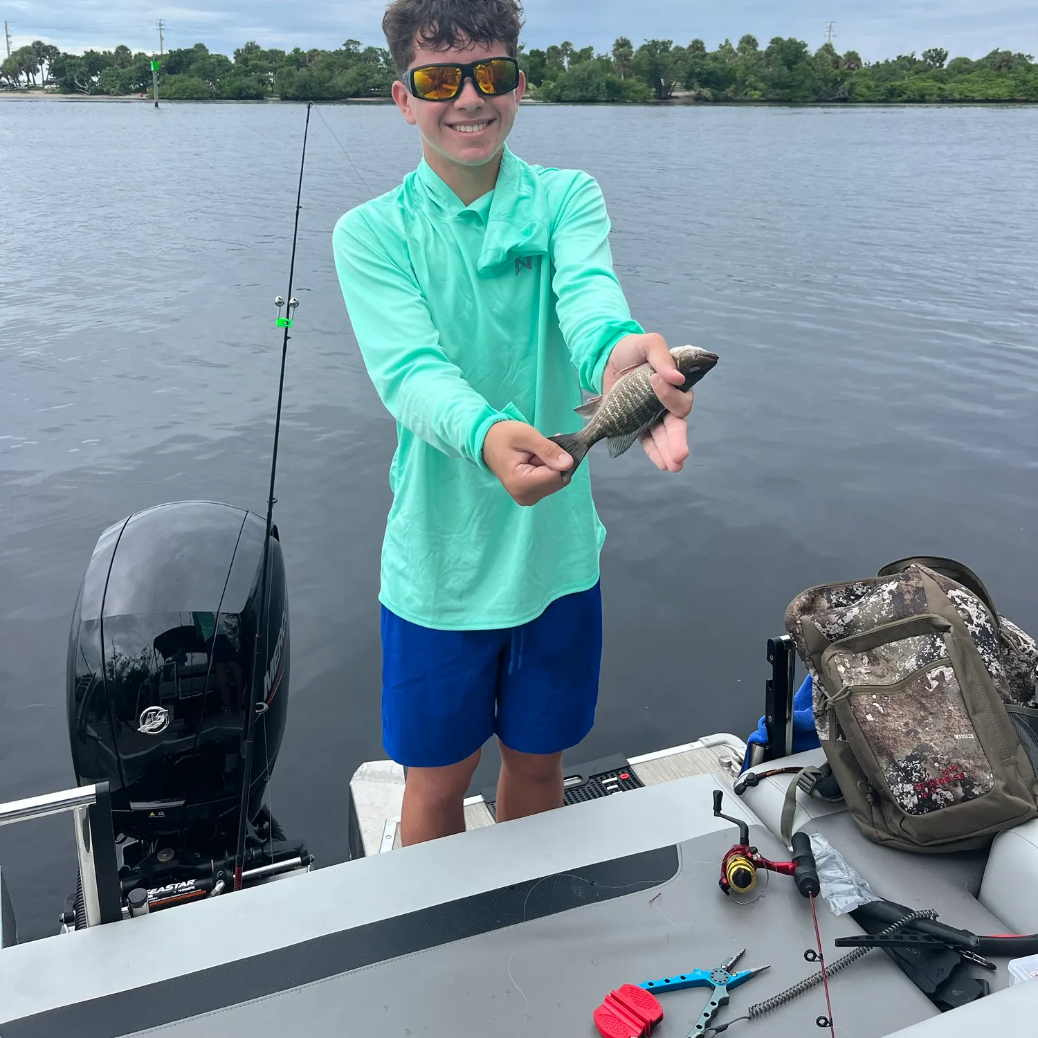 Mangrove snapper caught on Fishbrain