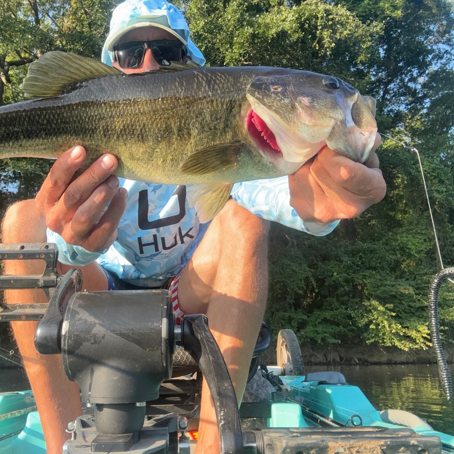Largemouth bass caught on Fishbrain
