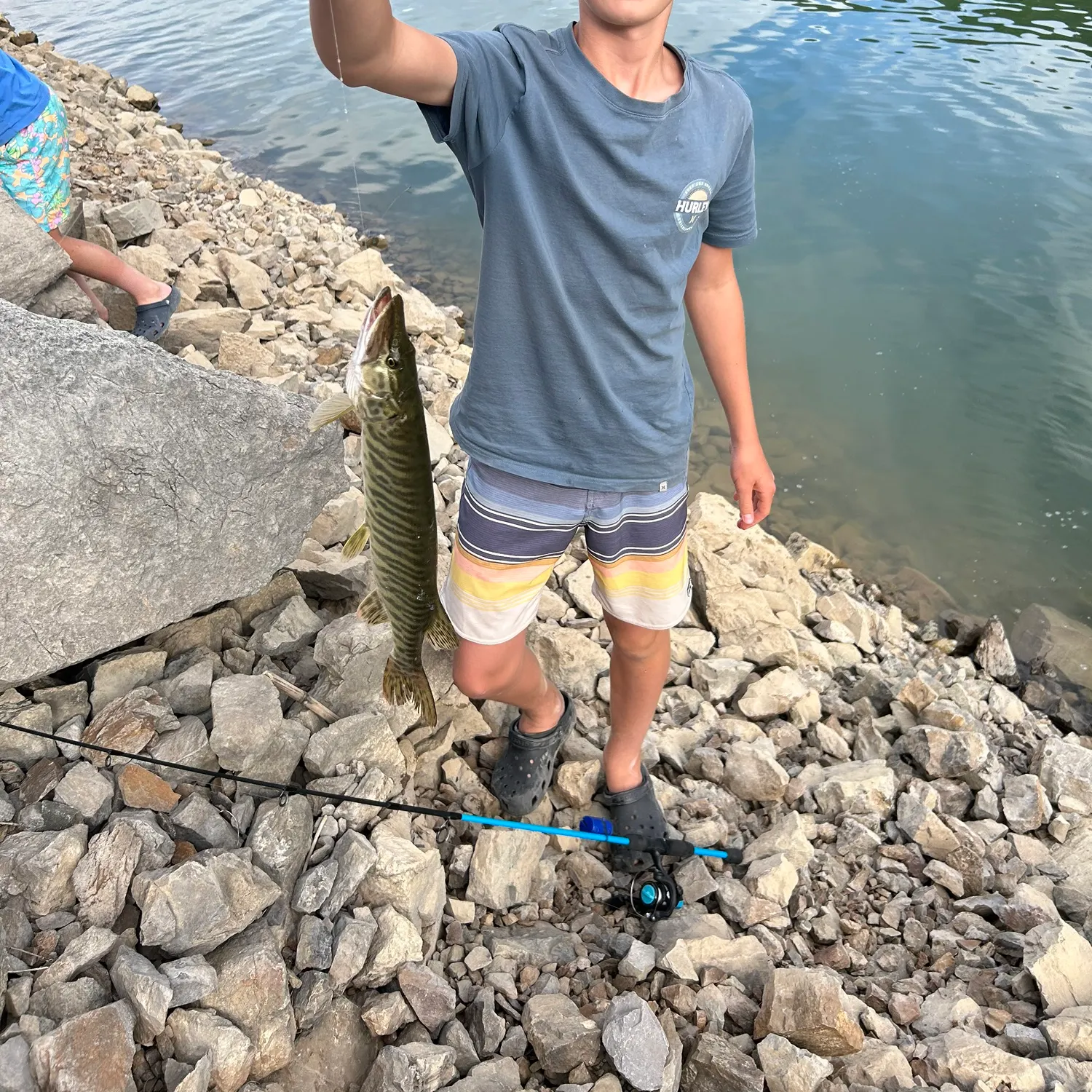 The most recent Tiger muskellunge catches on Fishbrain