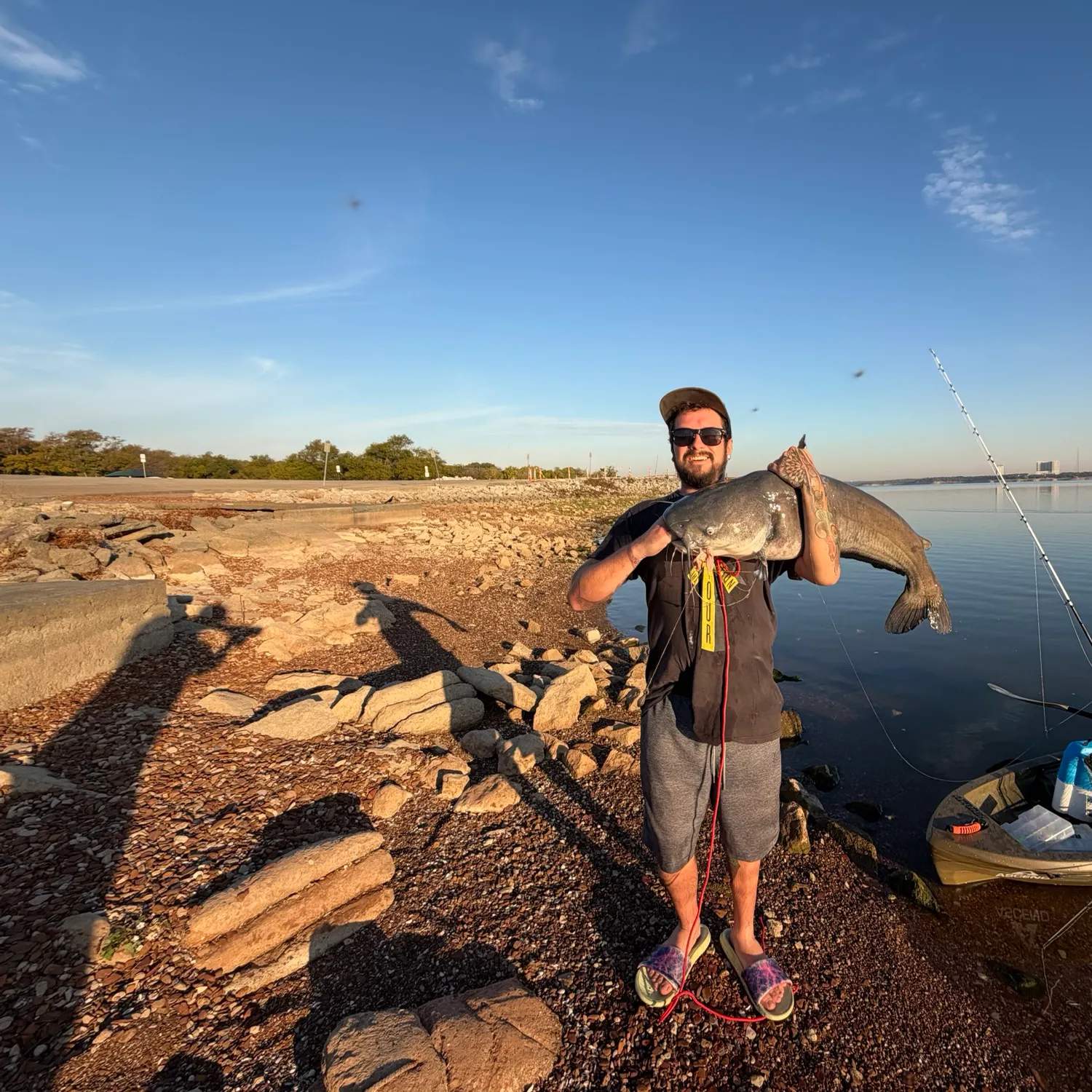 Blue catfish caught on Fishbrain