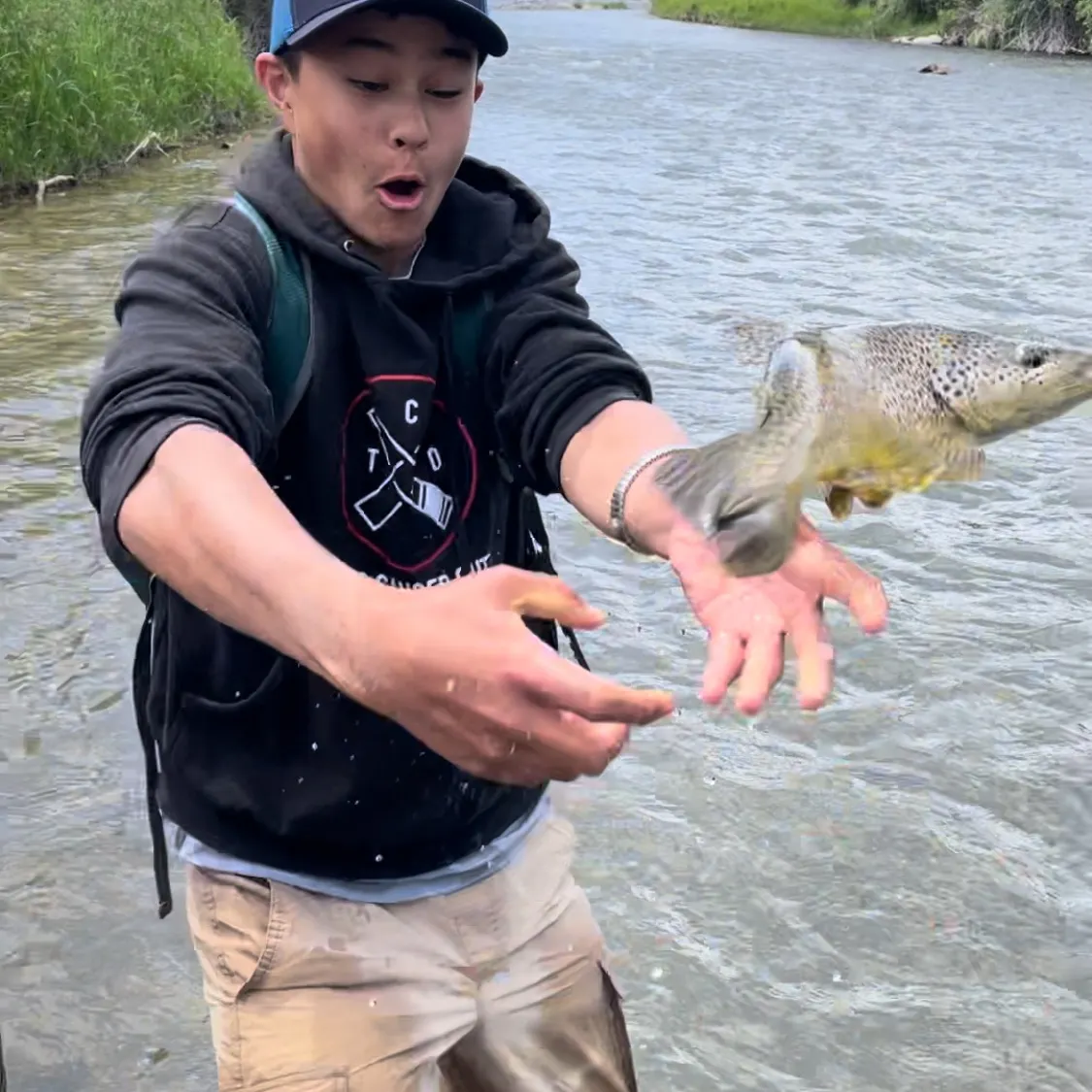 The most recent Brown trout catches on Fishbrain
