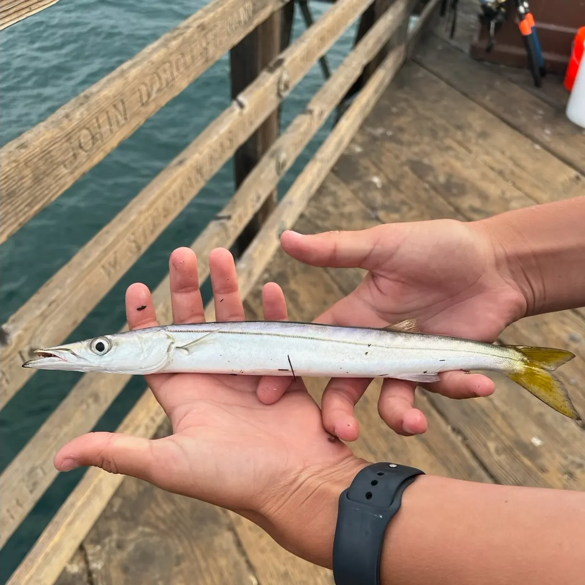 recently logged catches