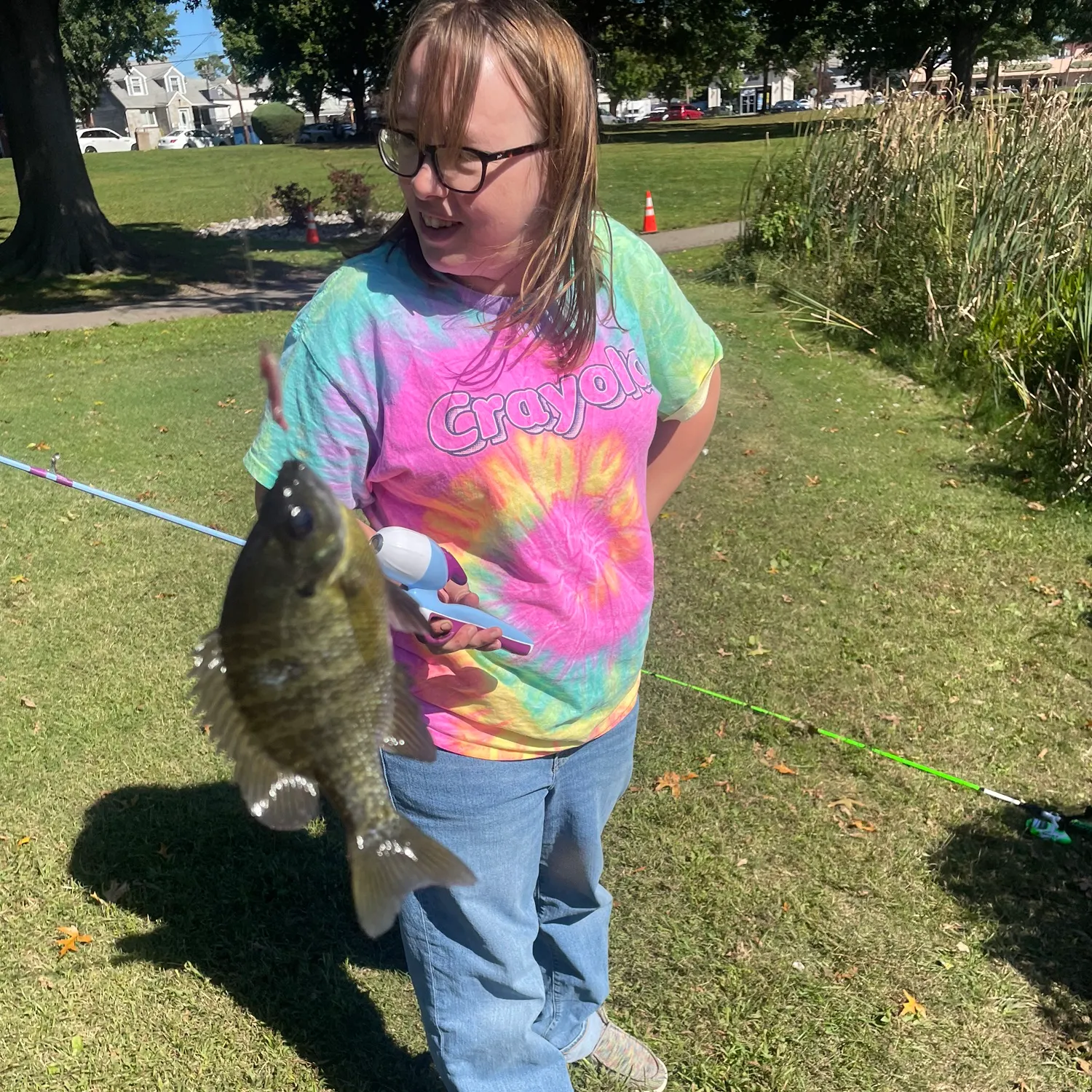 Bluegill caught on Fishbrain