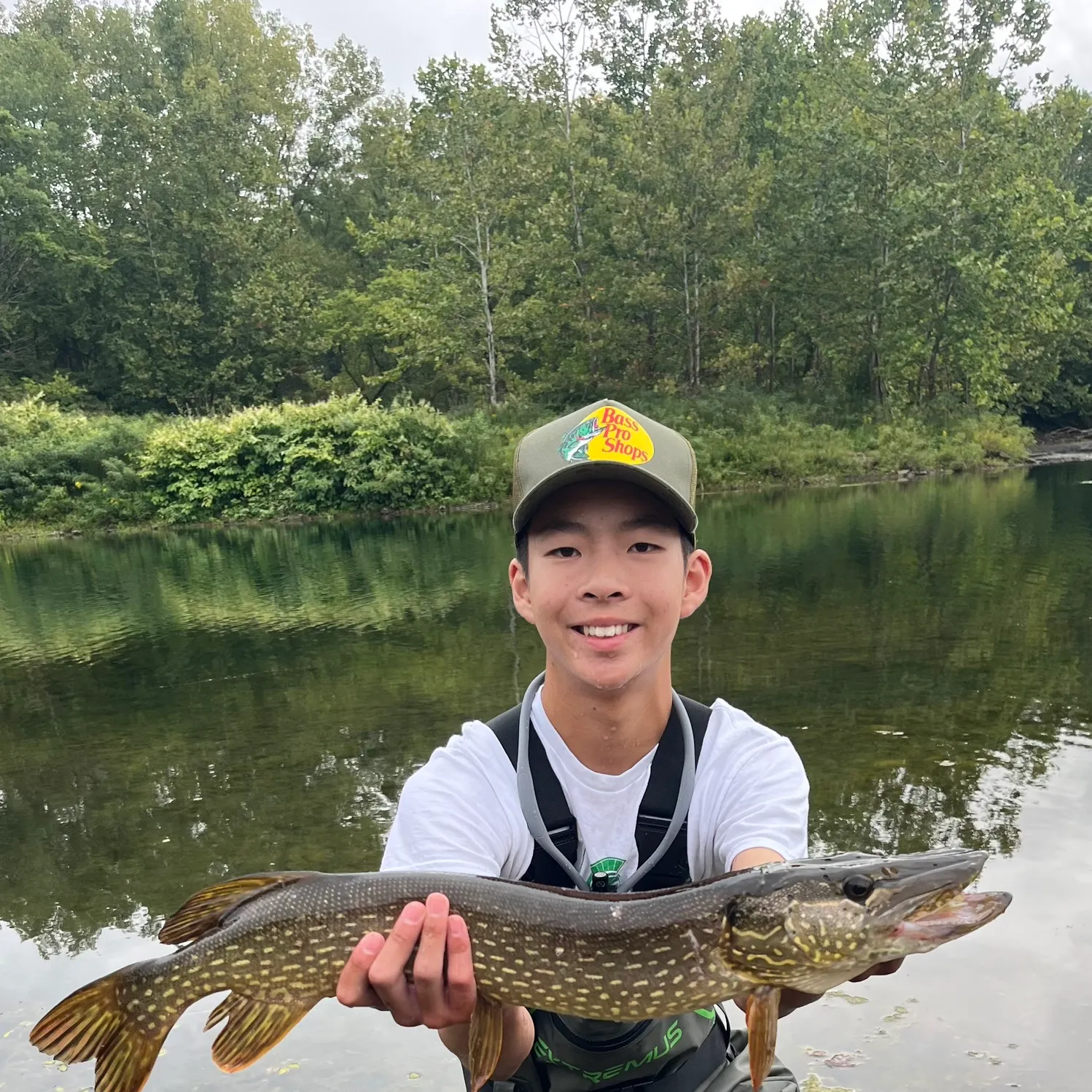 Northern pike caught on Fishbrain