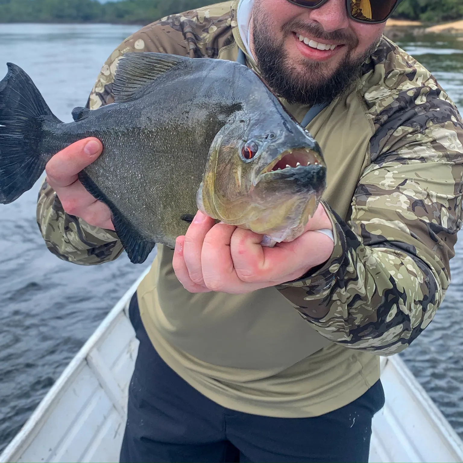 most liked catch image