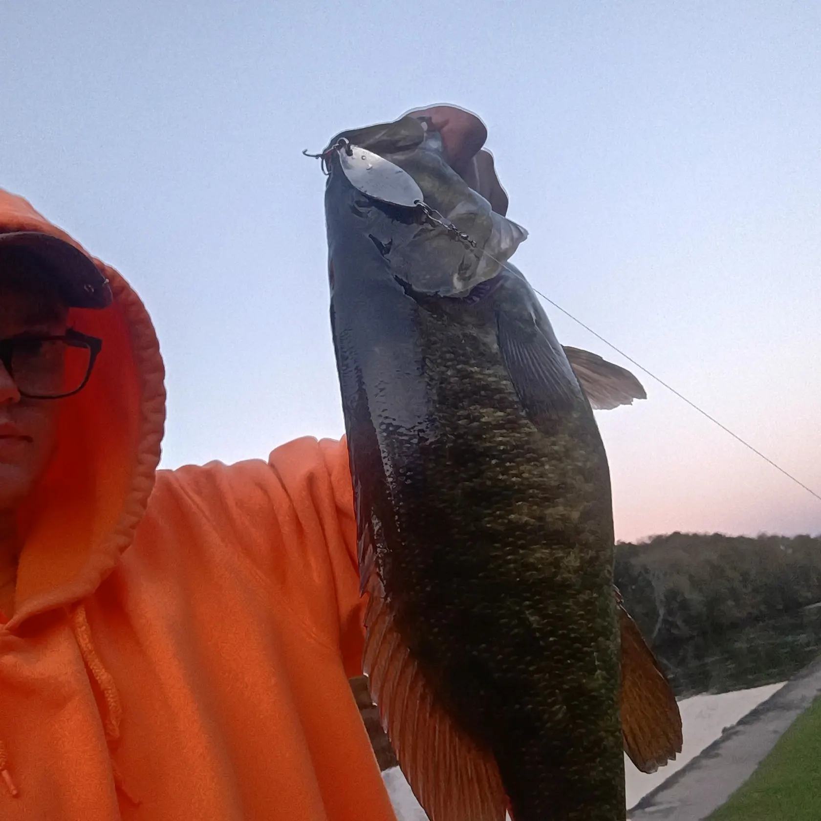 Smallmouth bass caught on Fishbrain
