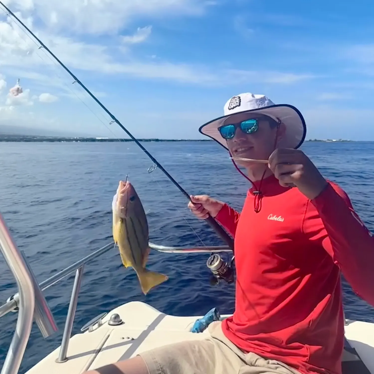 The most recent Common bluestripe snapper catches on Fishbrain