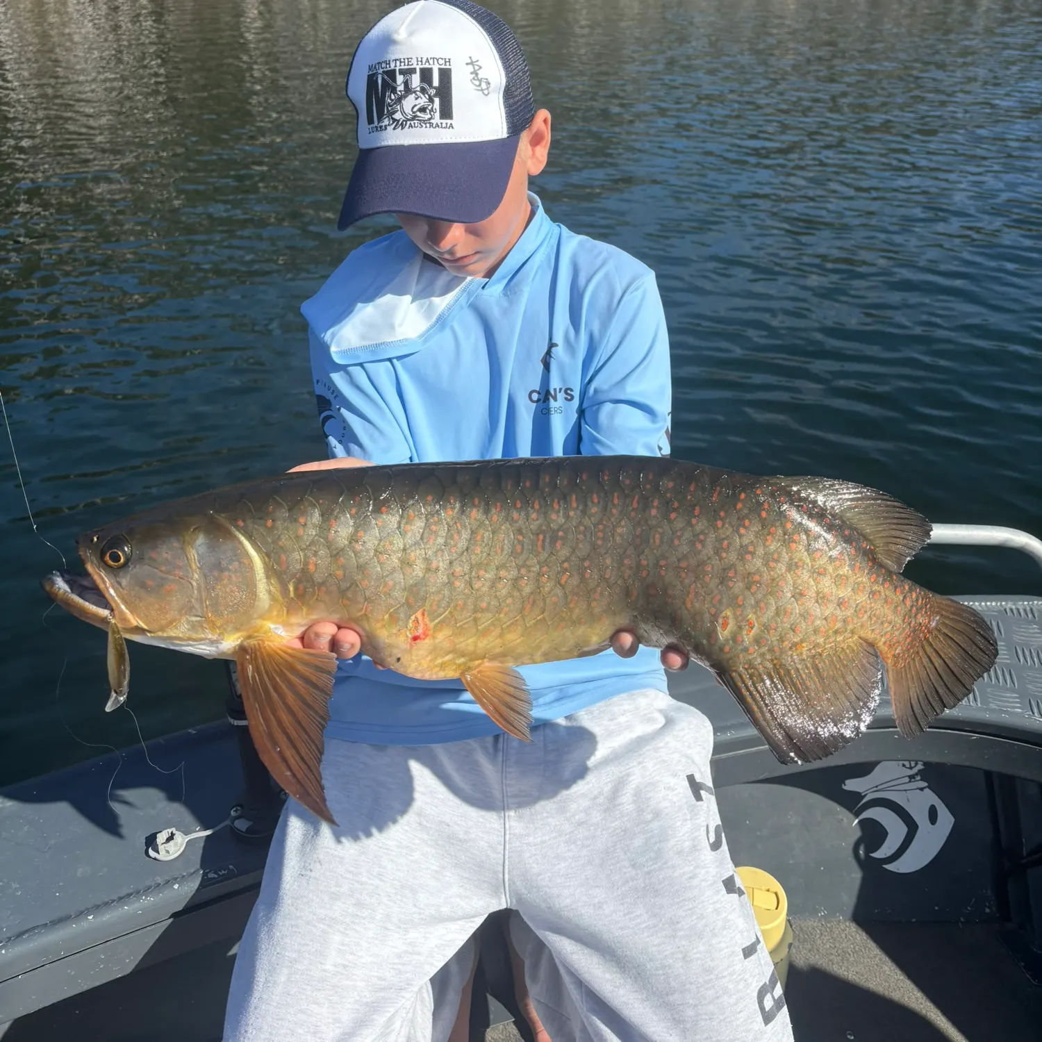 Spotted bonytongue caught on Fishbrain