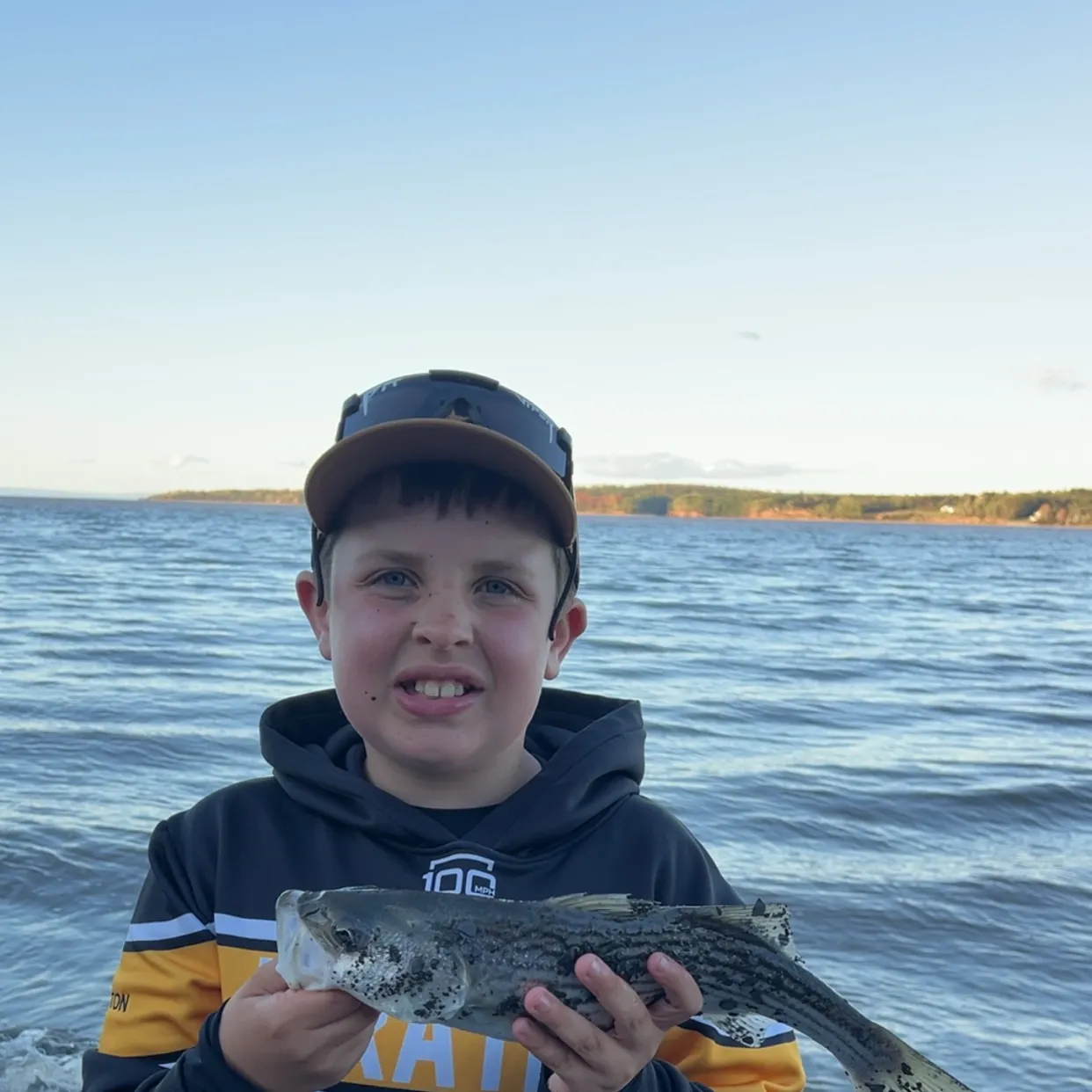 Striped bass caught on Fishbrain