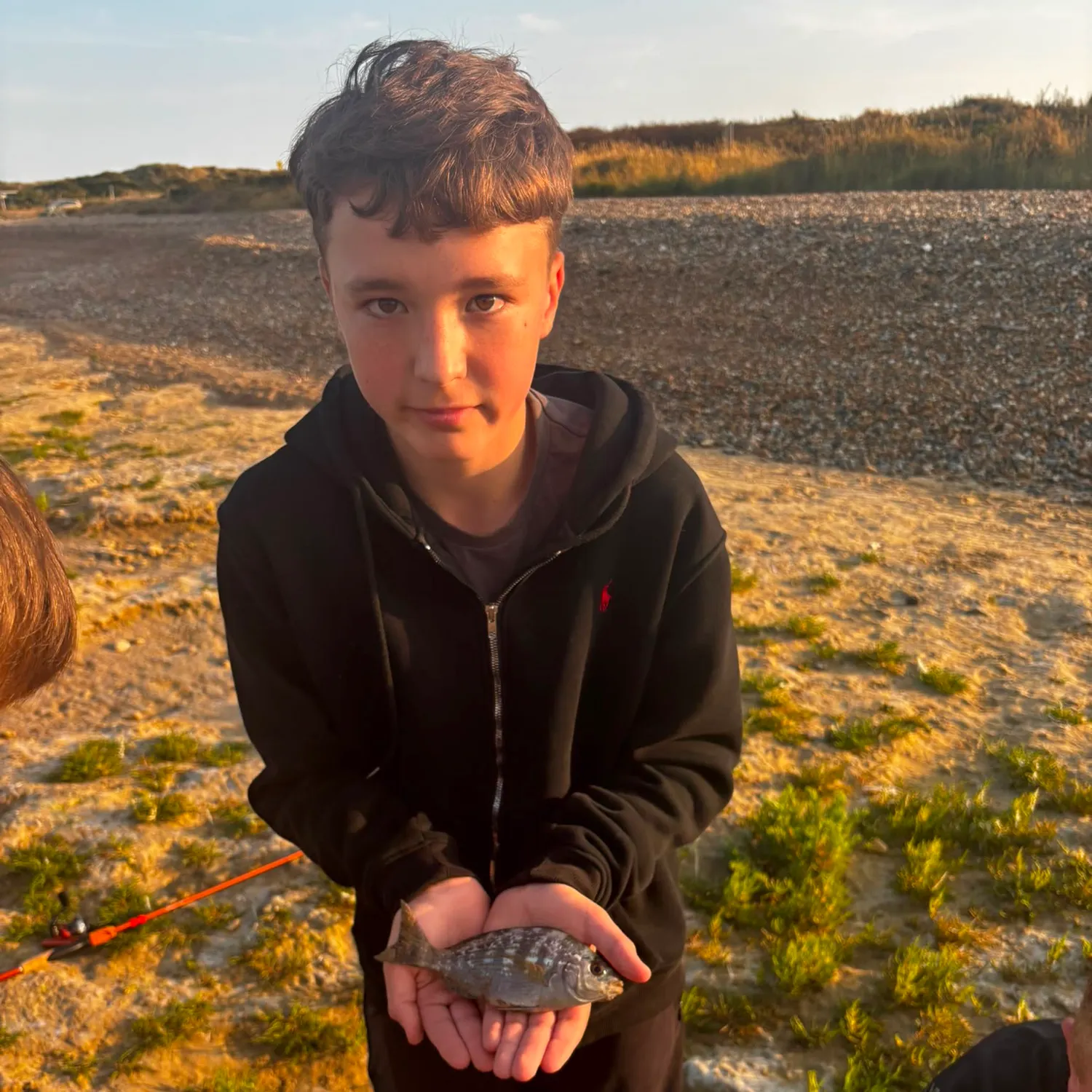 The most recent Black seabream catches on Fishbrain