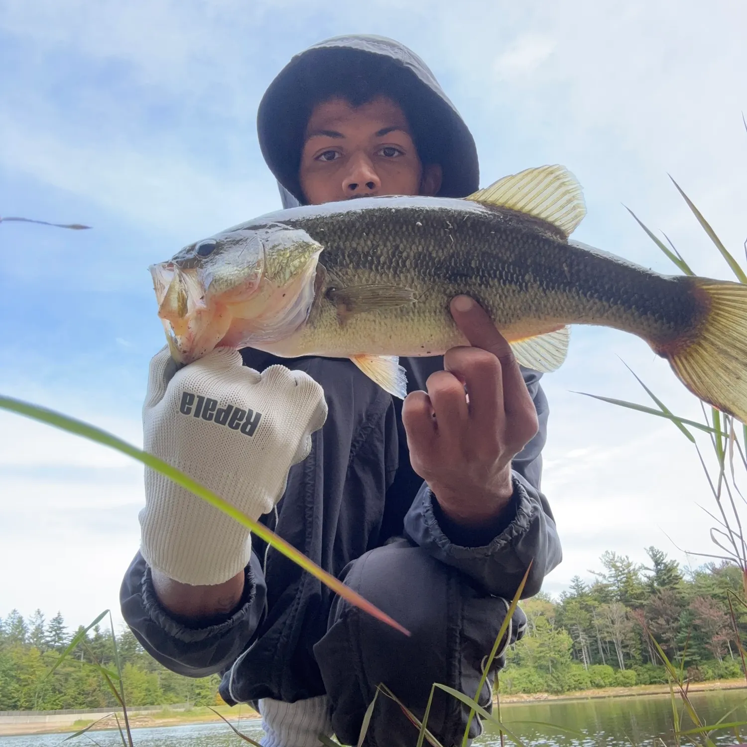Fish caught on Fishbrain