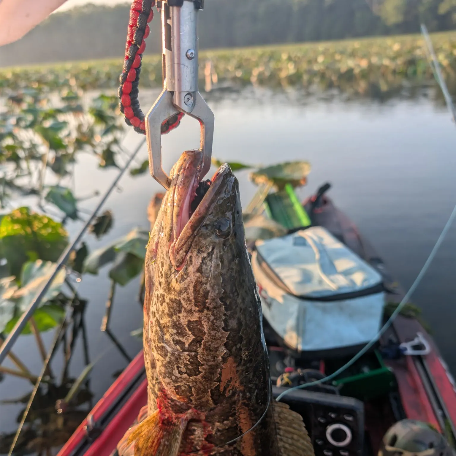 catch
