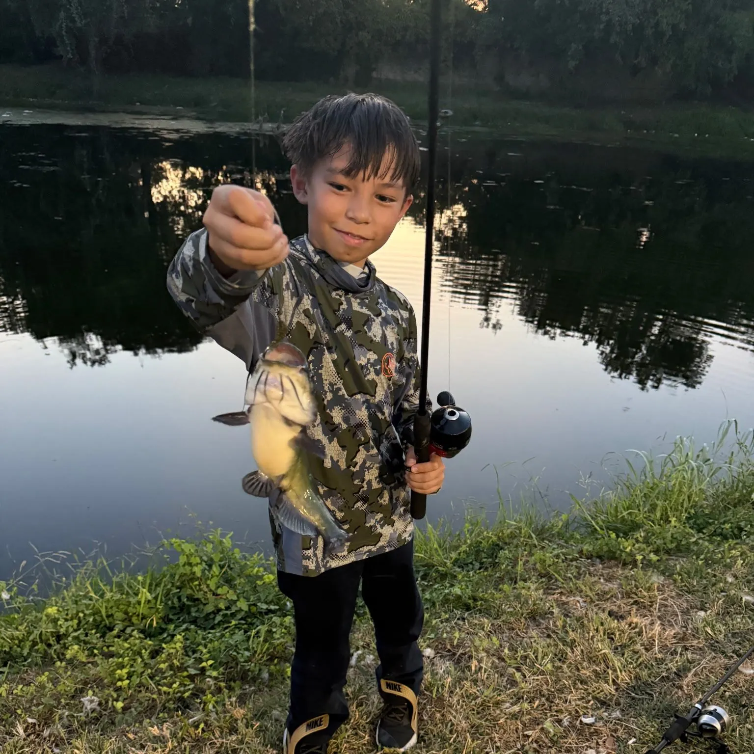Black bullhead caught on Fishbrain