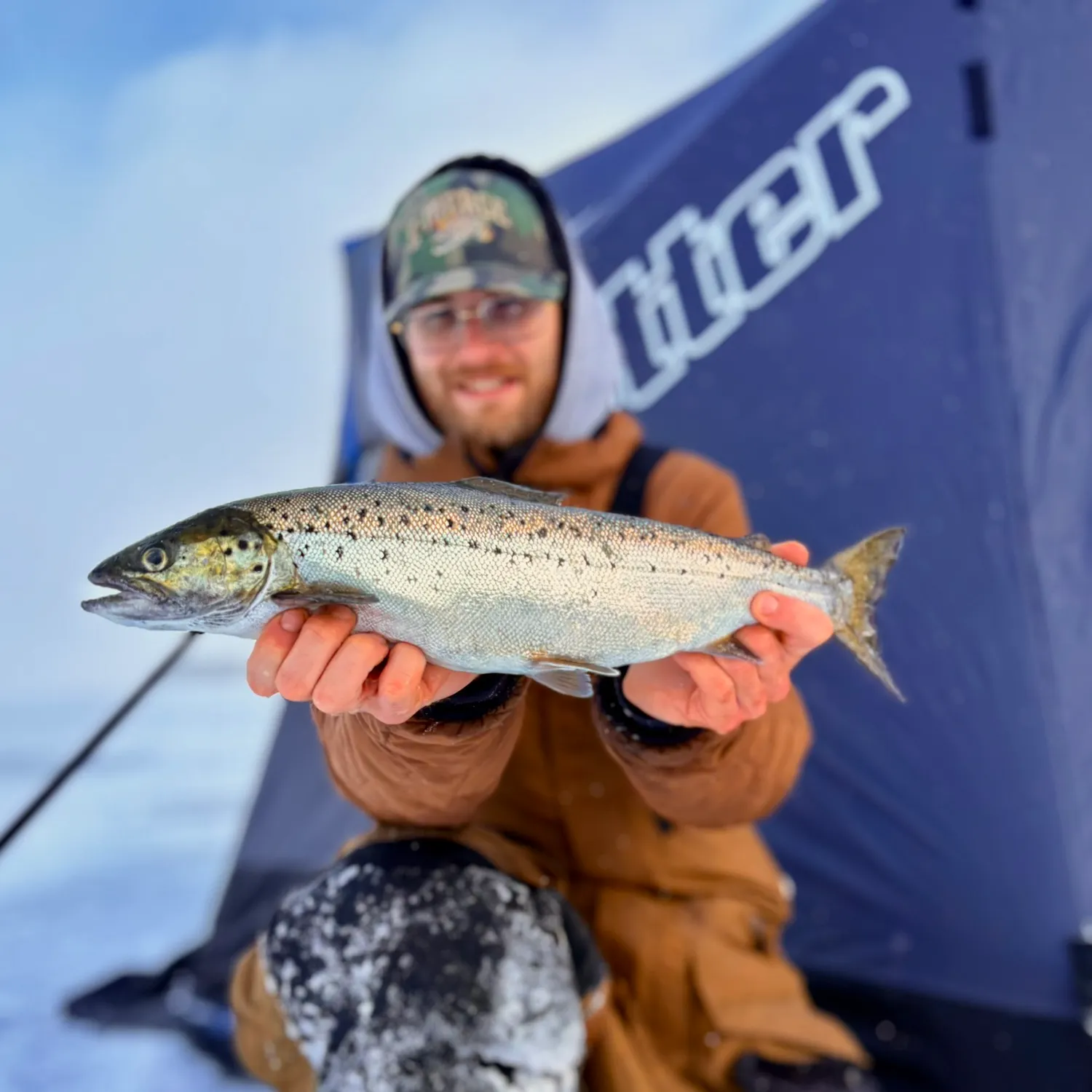 The most recent Landlocked atlantic salmon catches on Fishbrain
