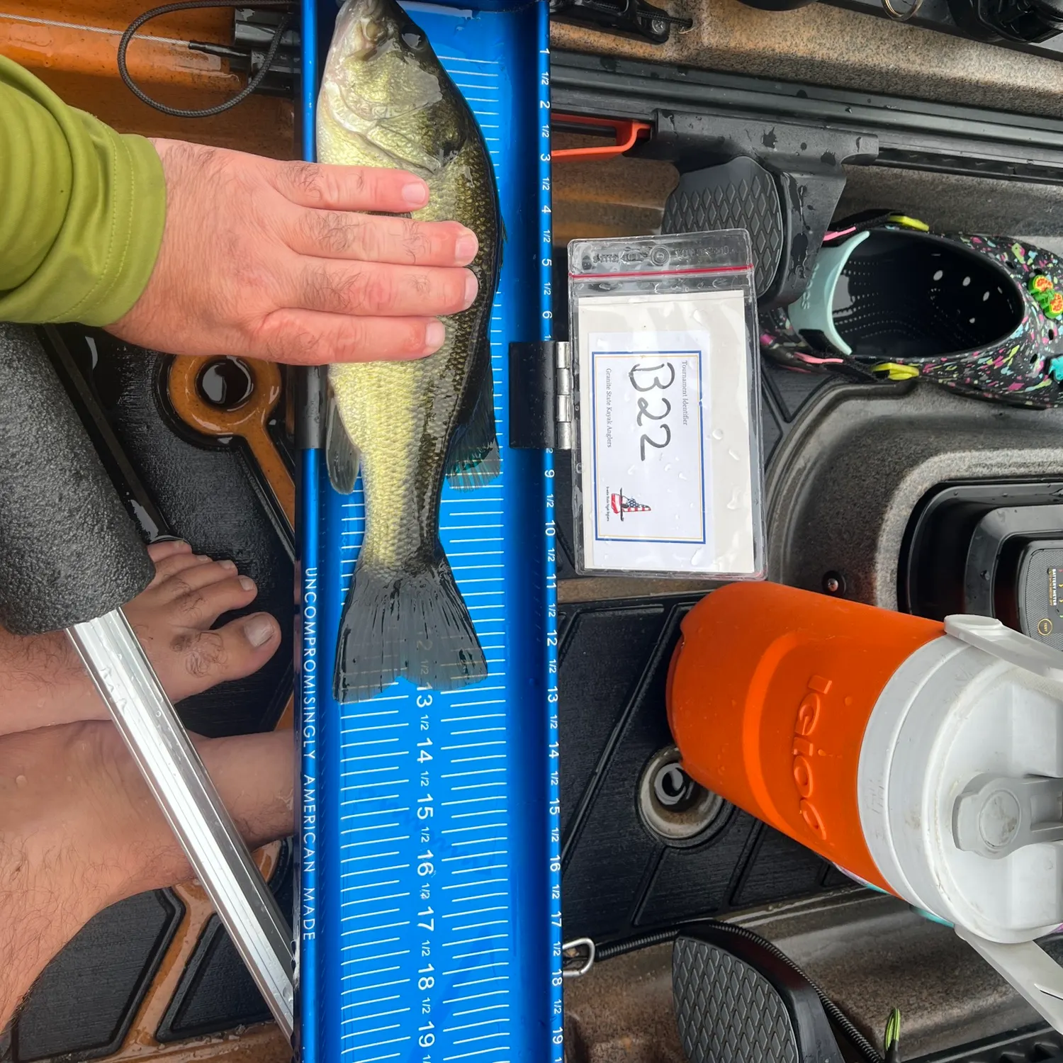 recently logged catches