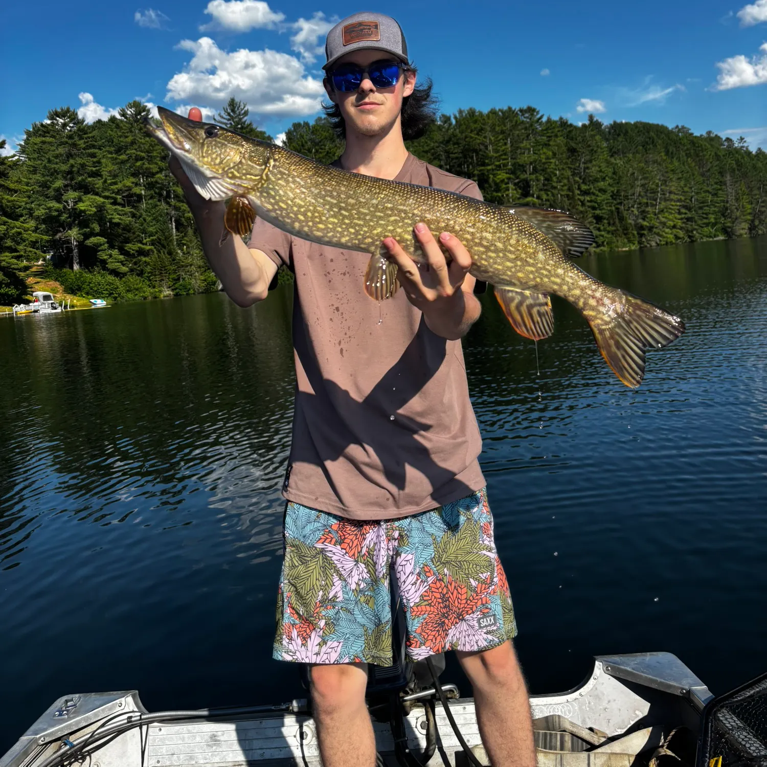 Northern pike caught on Fishbrain