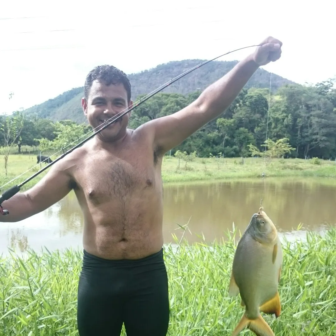 Small-scaled pacu caught on Fishbrain