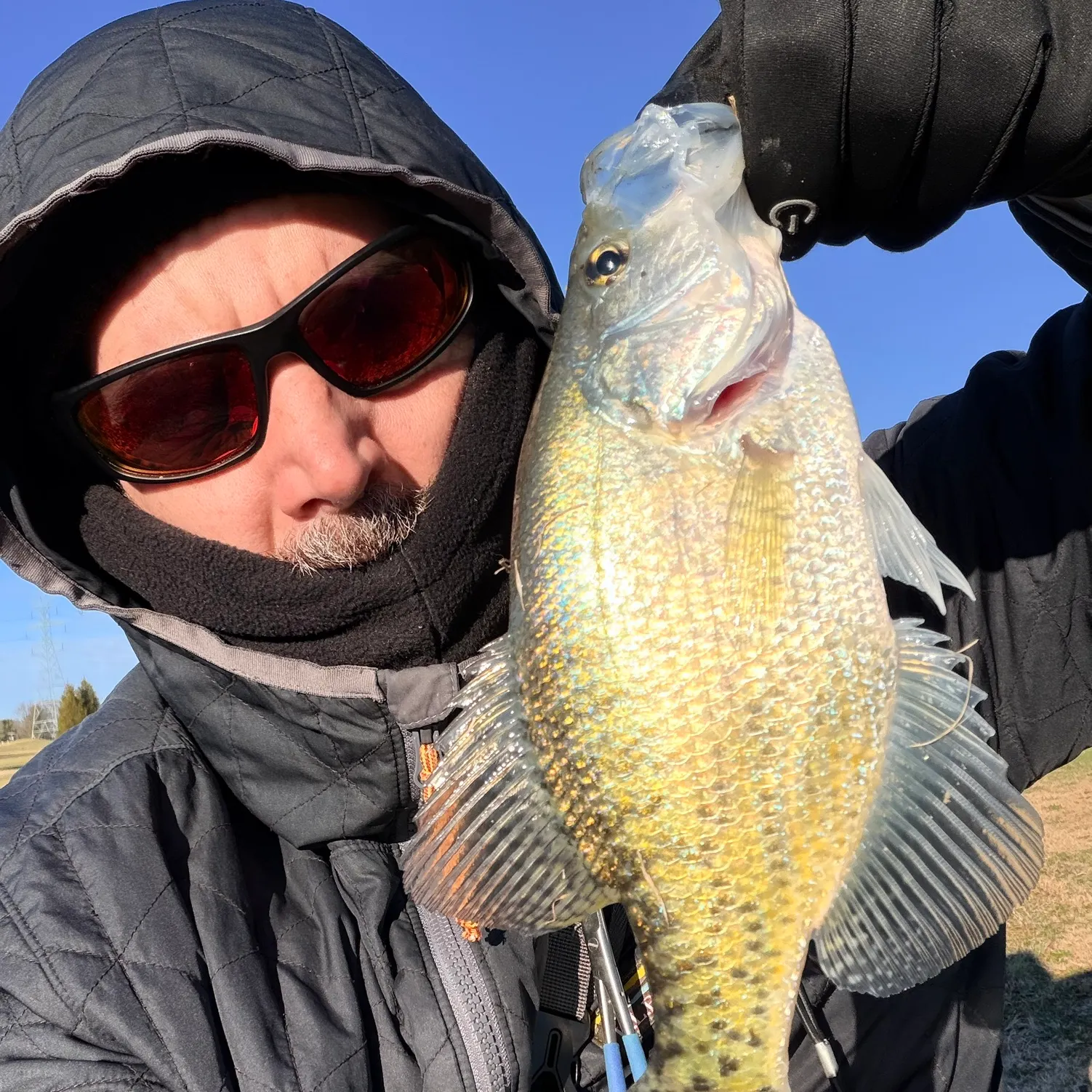 The most recent White crappie catches on Fishbrain