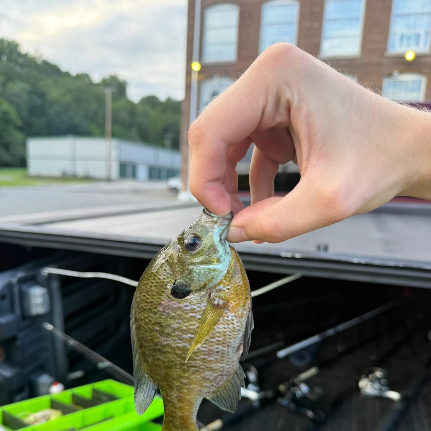 catch