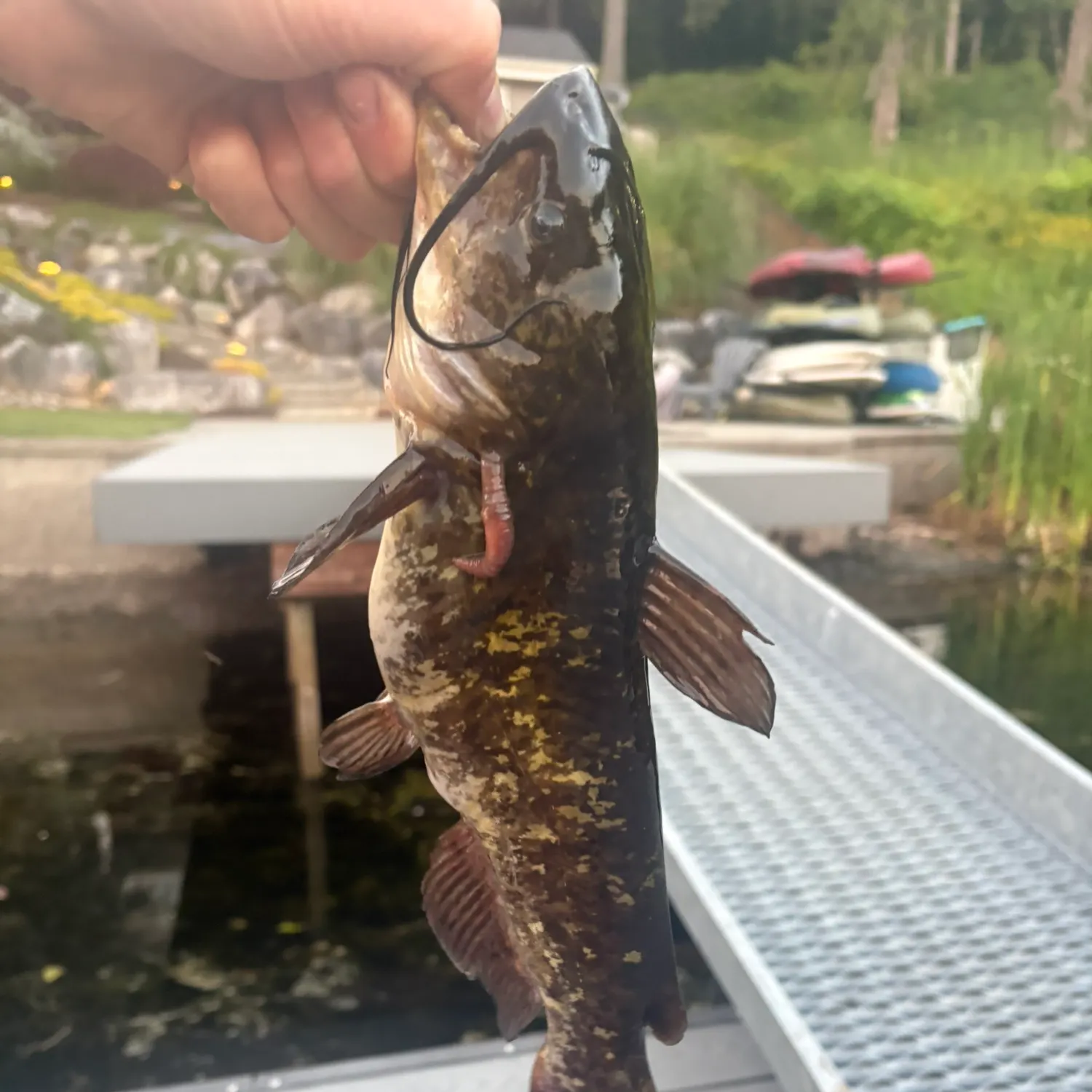catch