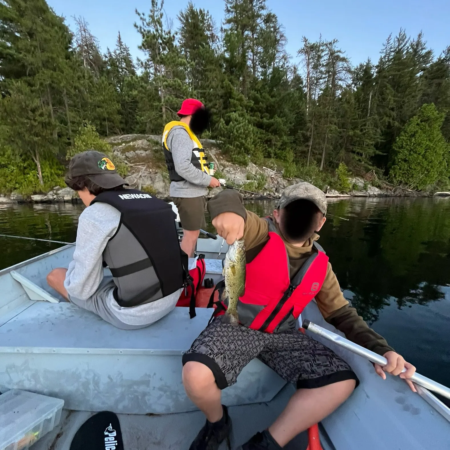 The most recent Smallmouth bass catches on Fishbrain