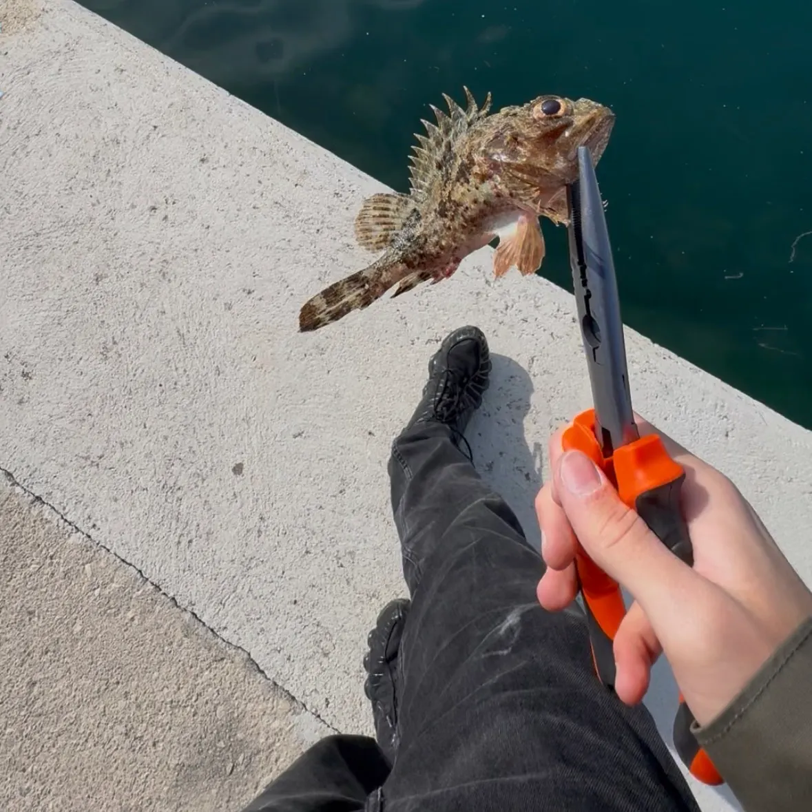catch
