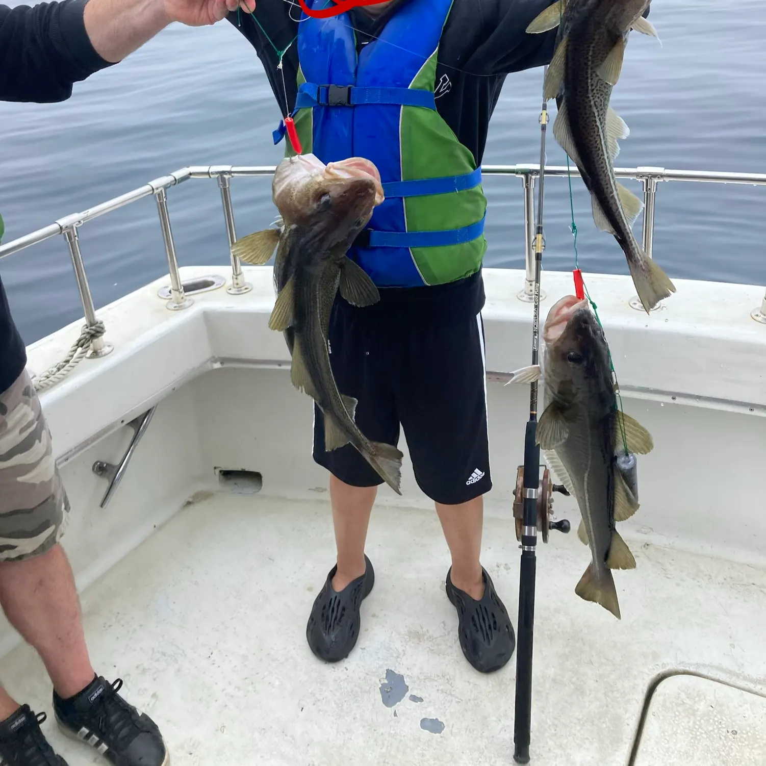 The most recent Pacific cod catches on Fishbrain