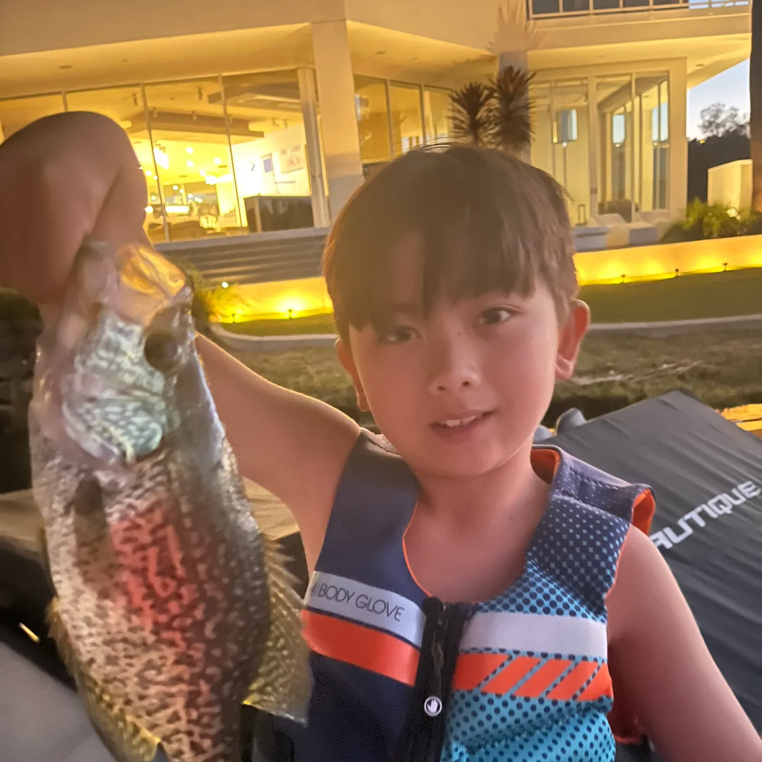 Black crappie caught on Fishbrain