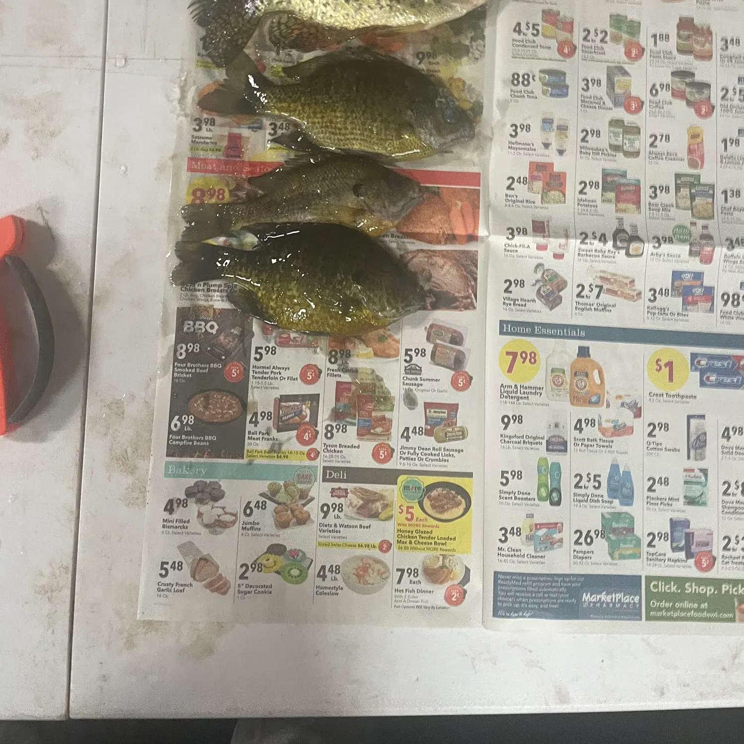 angler catch