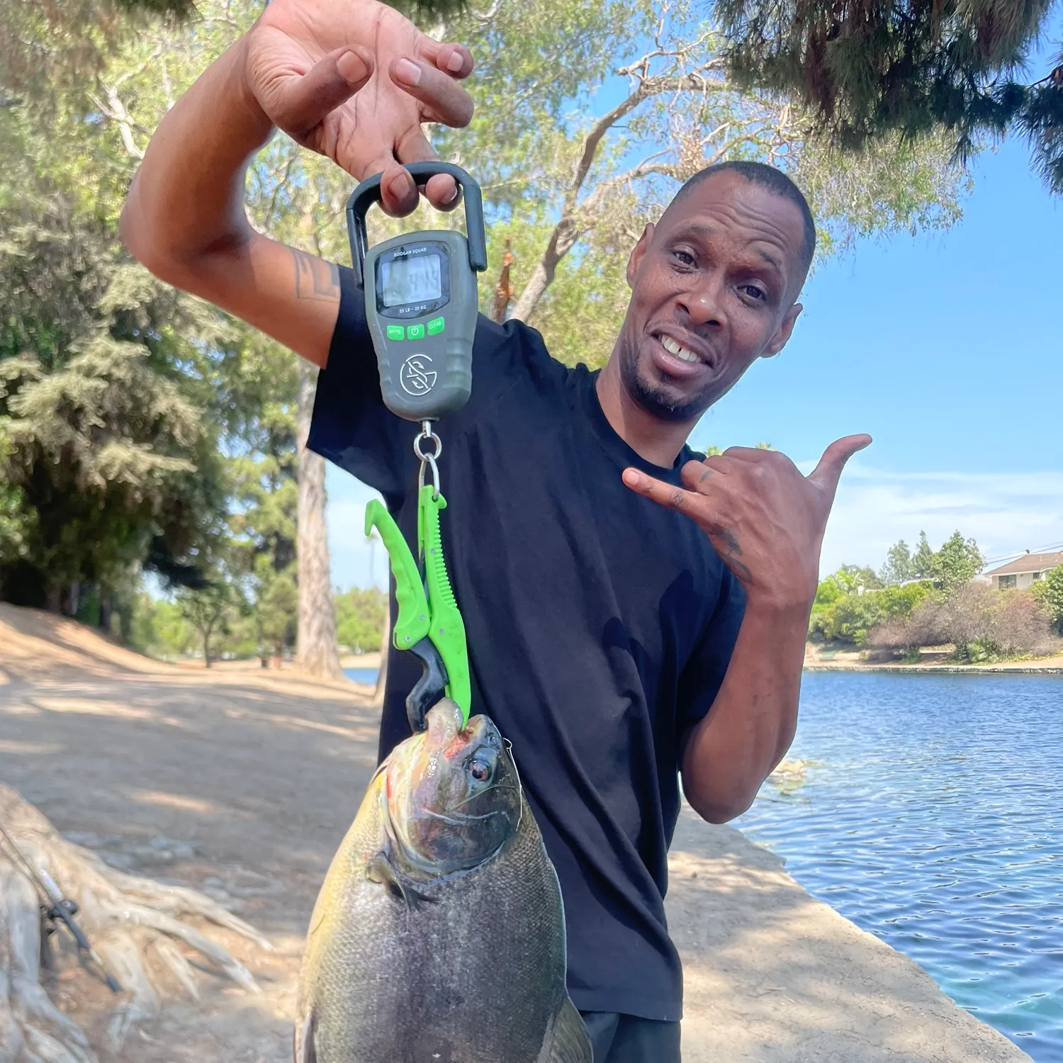 The most recent Small-scaled pacu catches on Fishbrain