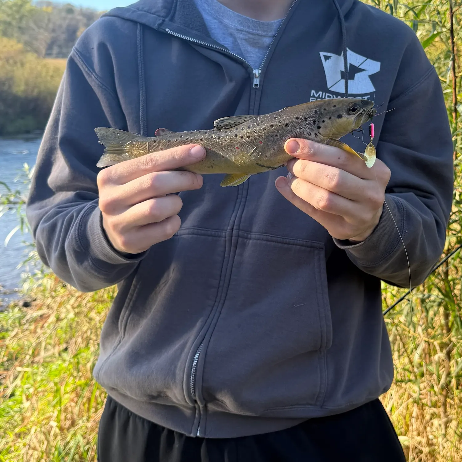 Brown trout caught on Fishbrain