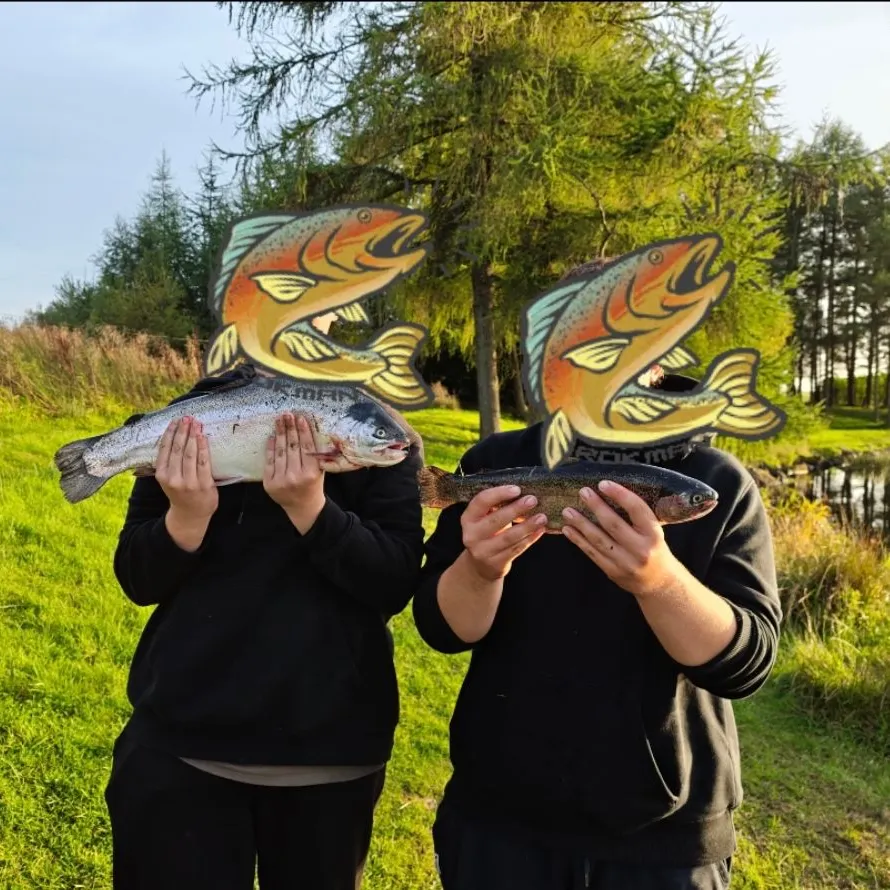 Rainbow trout caught on Fishbrain