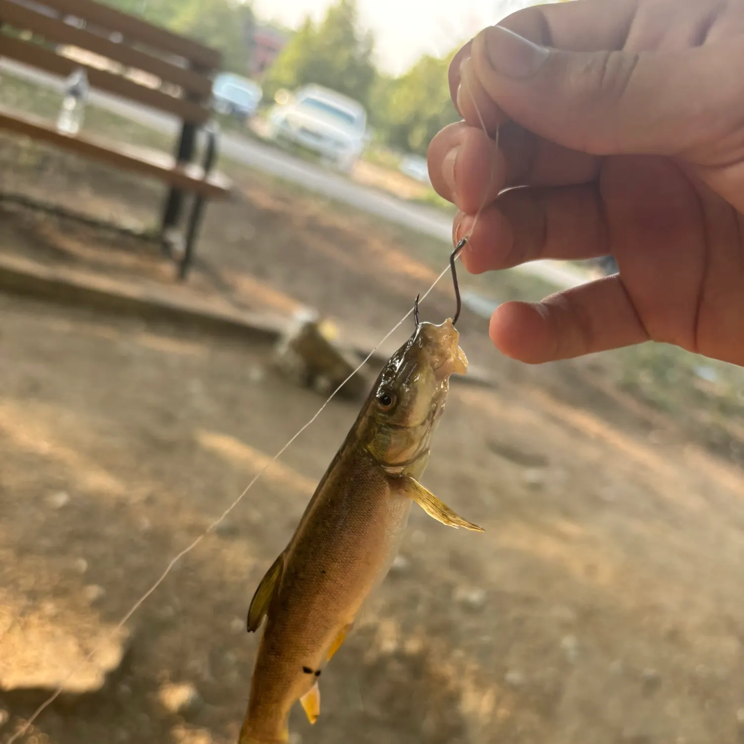 catch