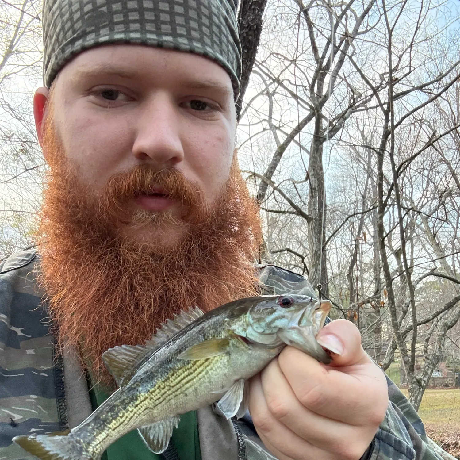 The most recent Cahaba bass catches on Fishbrain