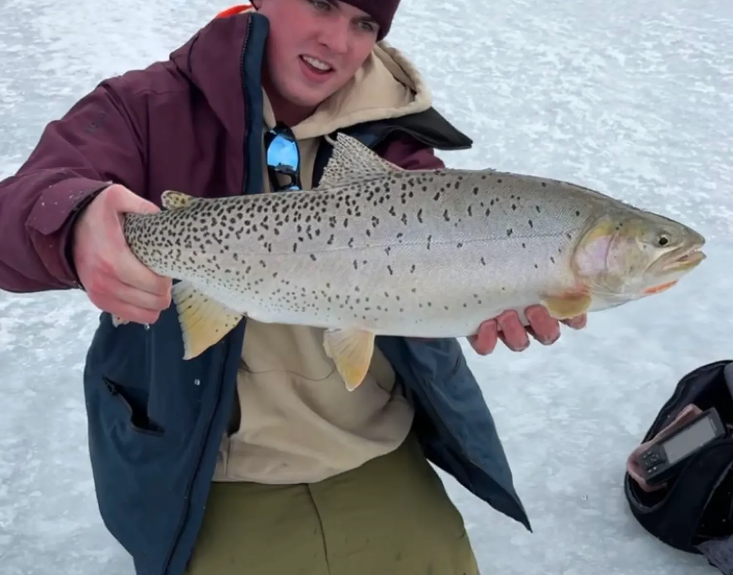 Bear lake cutthroat trout