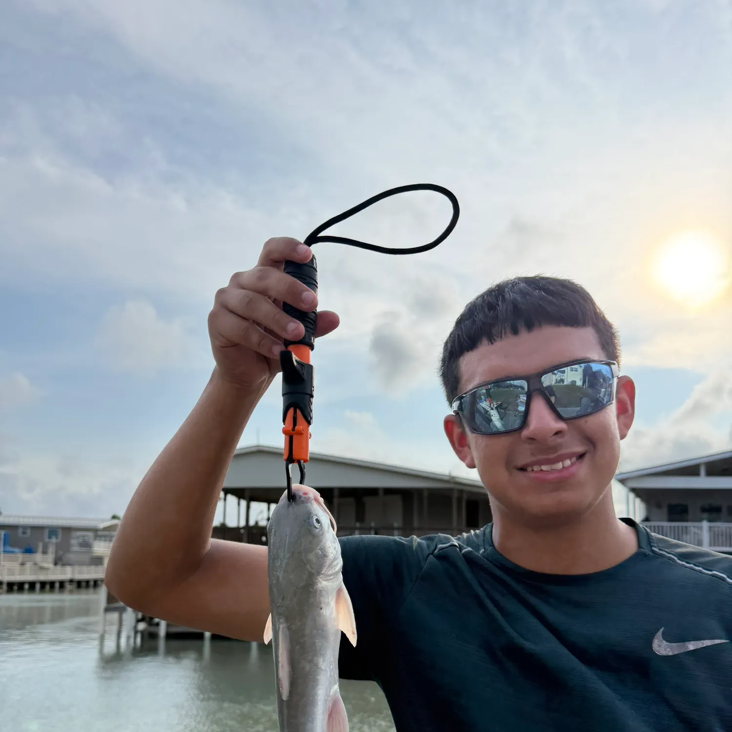 Hardhead sea catfish caught on Fishbrain