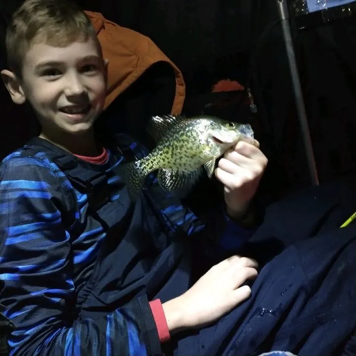 The most recent Black crappie catches on Fishbrain