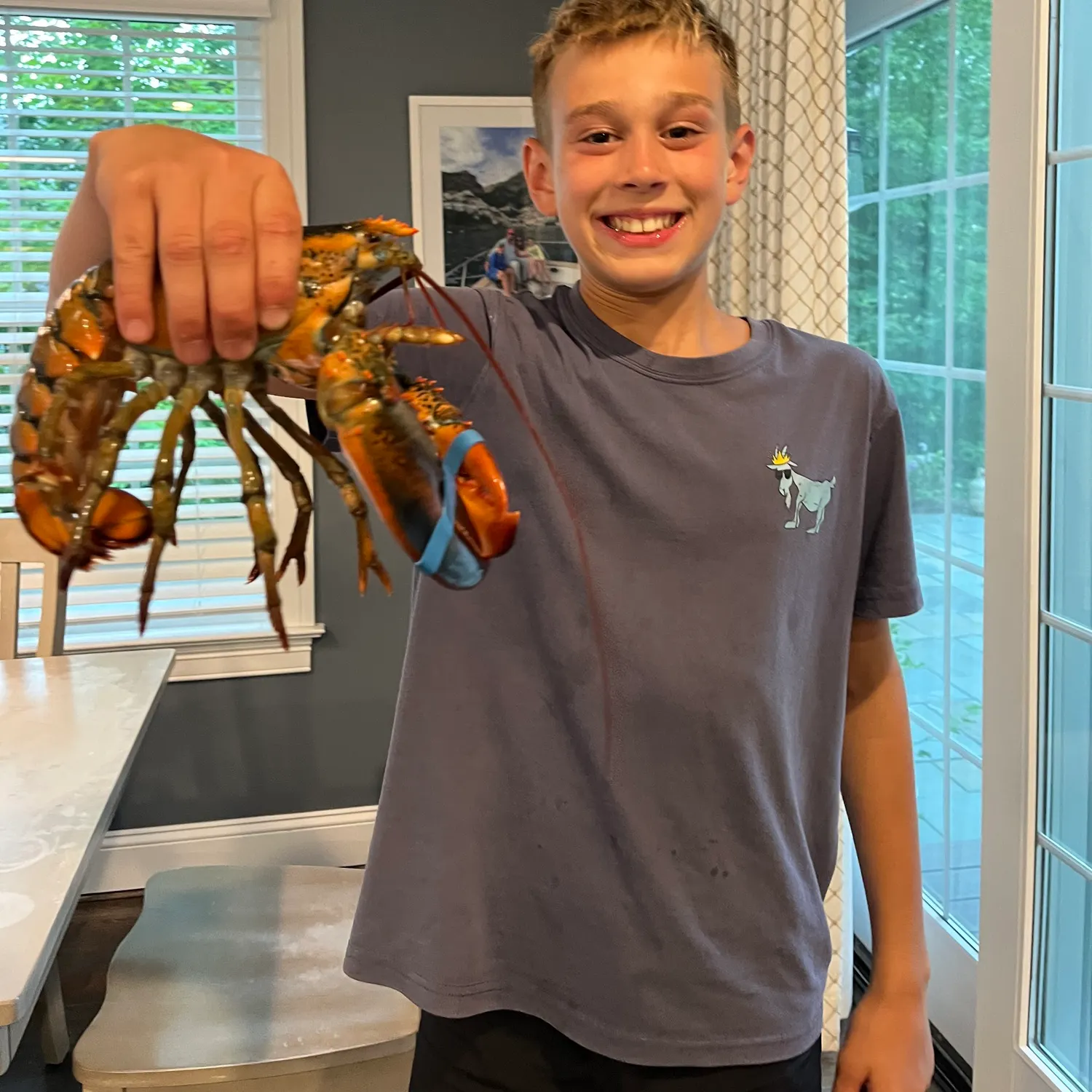 The most recent American lobster catches on Fishbrain