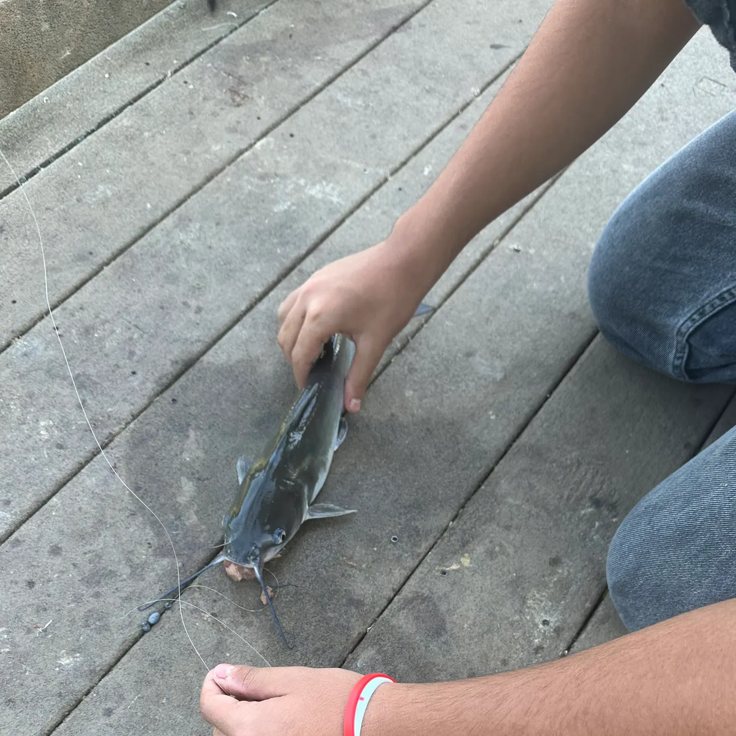 catch