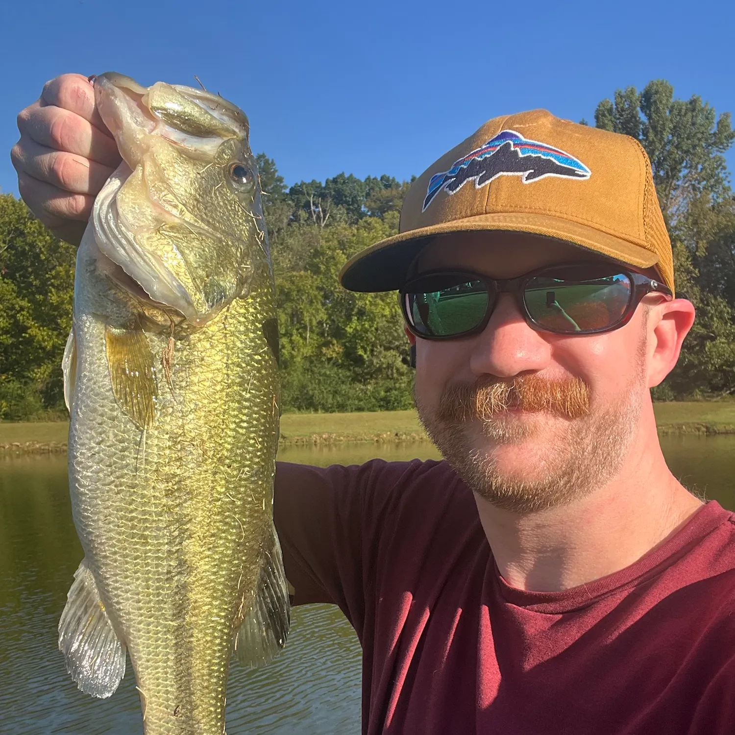Largemouth bass caught on Fishbrain