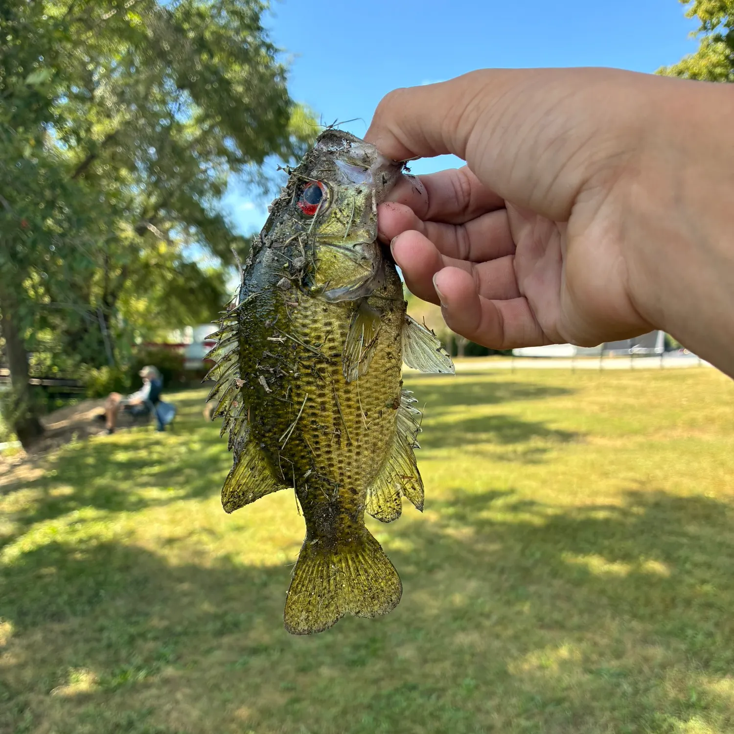 catch