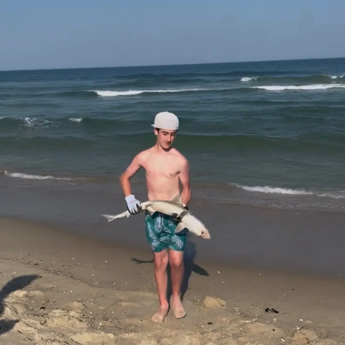 The most recent Piked dogfish catches on Fishbrain