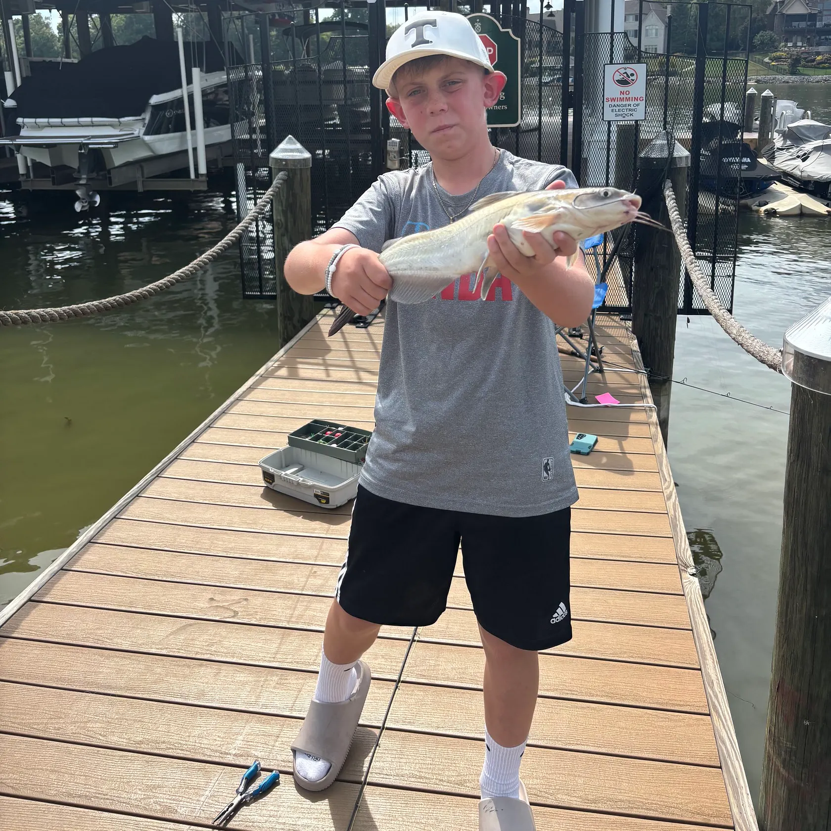Channel catfish caught on Fishbrain