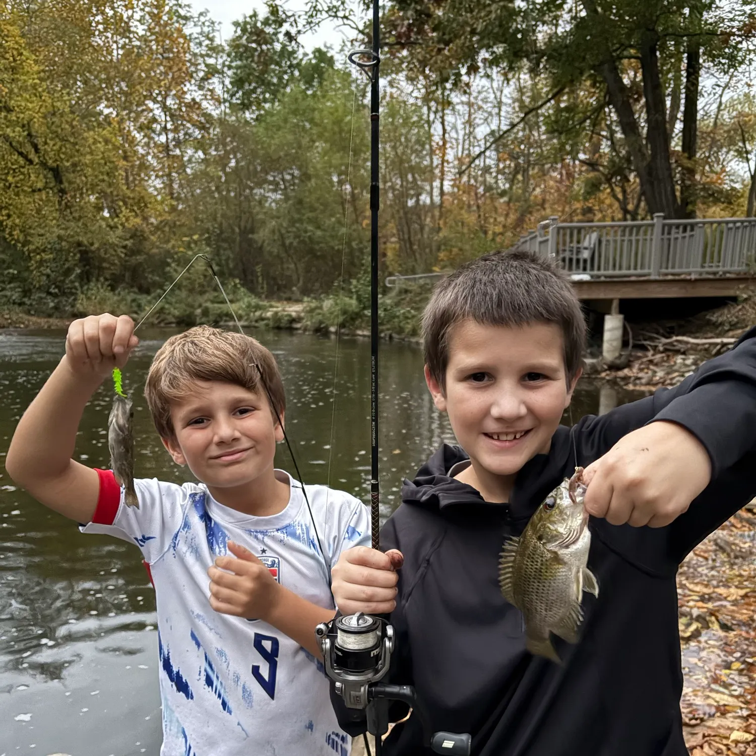 Rock bass caught on Fishbrain