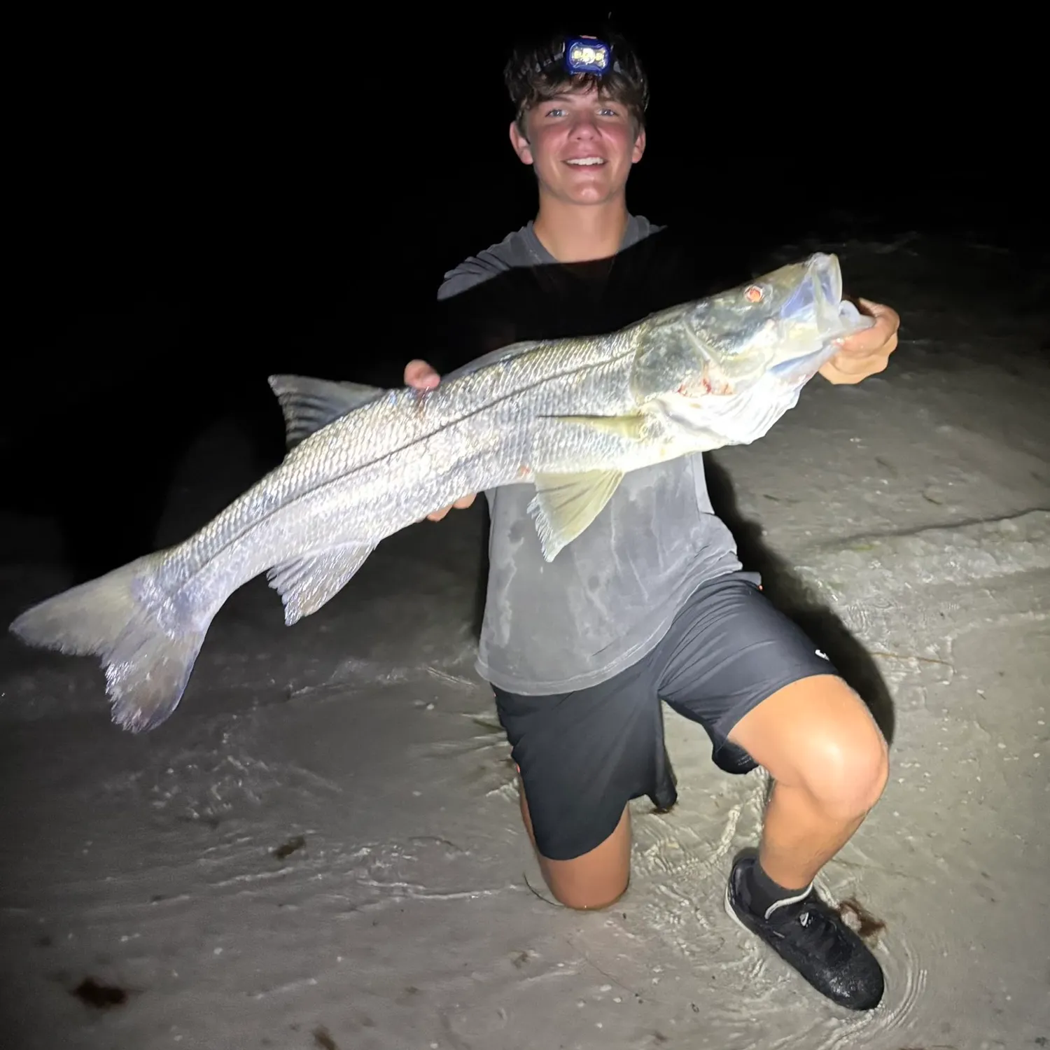 Common snook caught on Fishbrain