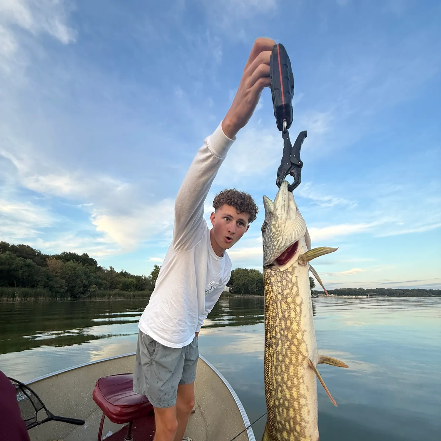 Northern pike caught on Fishbrain