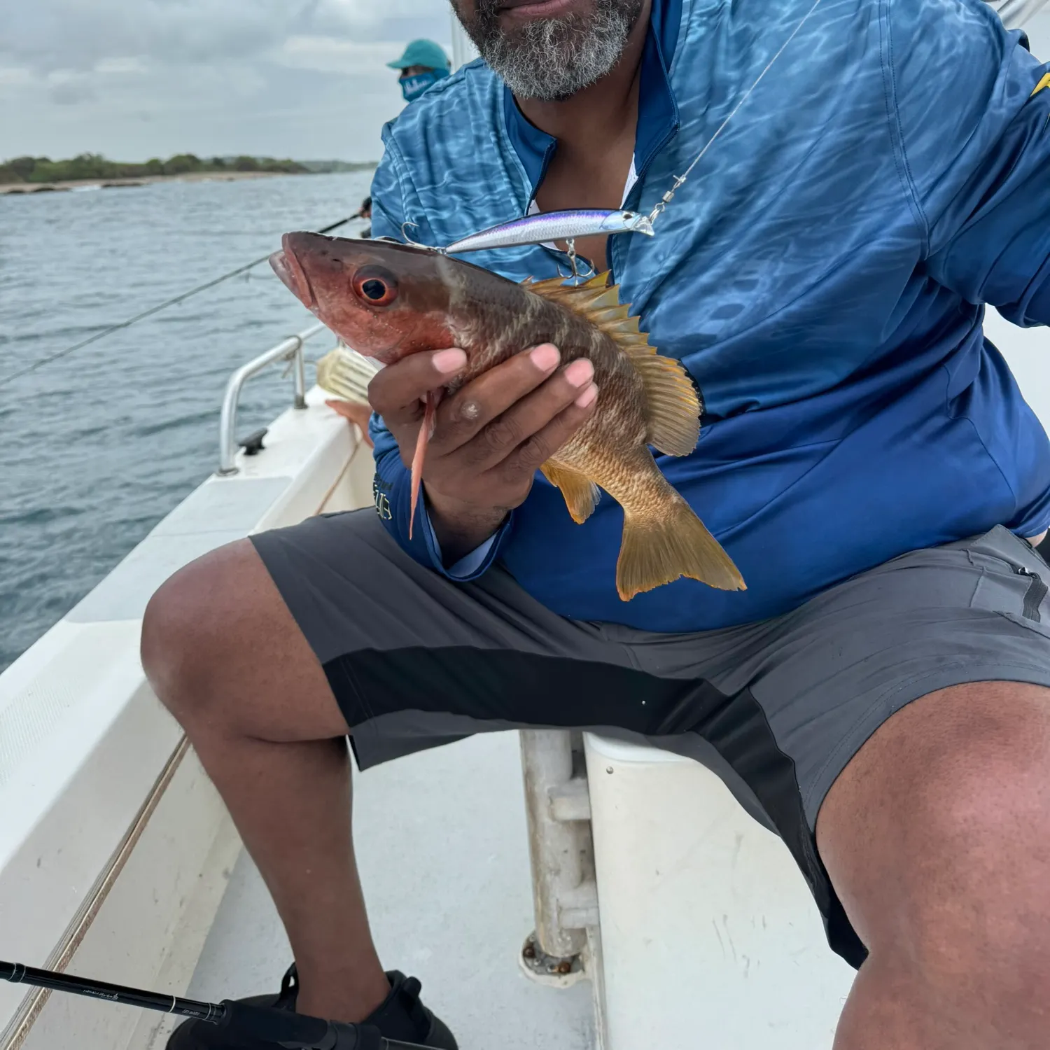 The most recent Pacific cubera snapper catches on Fishbrain